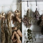 Животные занимаются самолечением растениями, а человек тысячелетиями подражает им