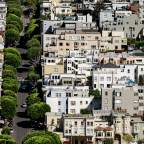 Даже визуальное наблюдение за растениями может улучшить психическое здоровье: новое исследование