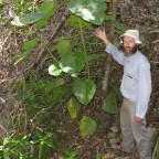 7 растений, к которым даже прикасаться опасно