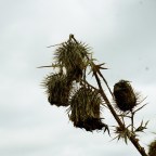 Муж долгие годы накачивал жену наркотиками и приглашал незнакомцев ее насиловать: S02EP00