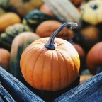 6 полезных свойств тыквы для здоровья: как лучше готовить сезонный овощ