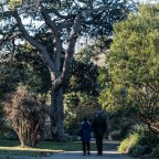 Битва за ботанический сад: война садоводов бушует на британском острове Уайт