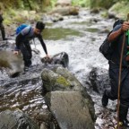 Ботаники обнаружили совершенно новый экзотический цветок на Филиппинах