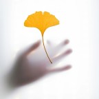 Шесть растительных добавок, из-за которых чаще всего попадают в больницу