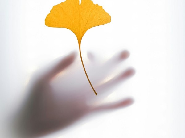 Шесть растительных добавок, из-за которых чаще всего попадают в больницу