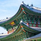 Цветы корейского календаря: растение на каждый день года