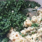 В Европе болотную ряску одобрили в качестве овоща