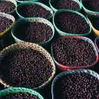 Ученые обнаружили потенциал семян асаи в терапии ожирения и диабета