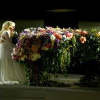 Мы даем домашним растениям почву, свет и воду. Стоит ли добавить к этому музыку?