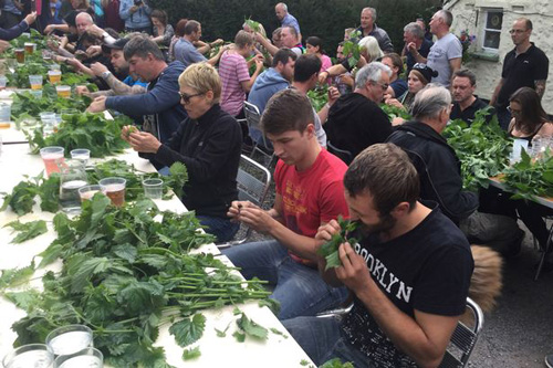 Ежегодный чемпионат мира по поеданию крапивы в Соединенном Королевстве