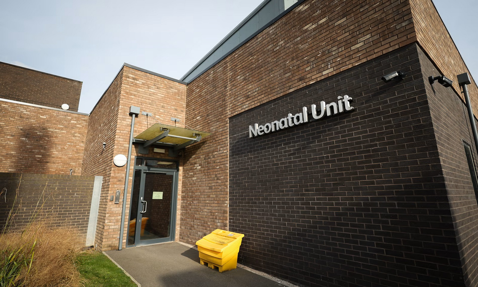 Бывшее руководство Люси Летби считает, что существует «реальная вероятность» невиновности осужденной медсестры