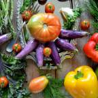 Взлом кода: ученые работают над созданием более крупных и вкусных томатов и баклажанов