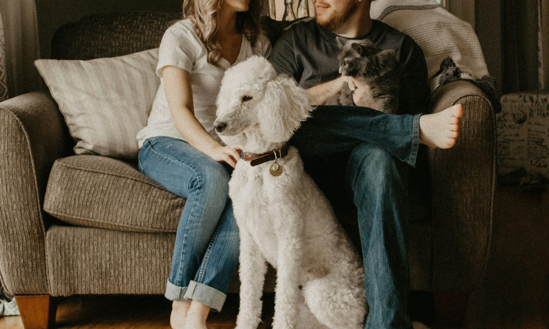 Советы ветеринара: что в вашем доме может быть токсичным для собак и кошек