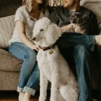 Советы ветеринара: что в вашем доме может быть токсичным для собак и кошек