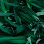 Материалы блога, которые больше всего читали и слушали в марте