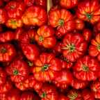 Более 200 лет назад томаты считались «вонючими ядовитыми яблоками», которые вызывают рвоту