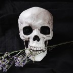 Воссоединение Black Sabbath. Группа даст последний концерт в оригинальном составе: S02EP36