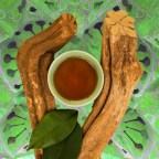 В погоне за аяуаской: как «белый» туризм стал бедствием для Эквадора