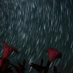 Дыхание дьявола: как препарат от укачивания связан с ограблениями и насилием