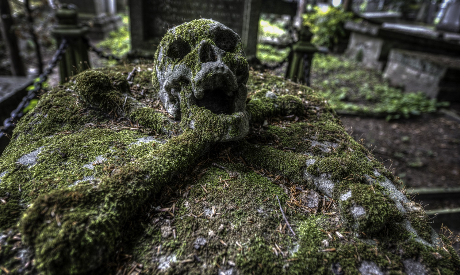 Хэллоуин 2025: самые жуткие города США, которые до сих пор пугают людей