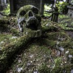 Хэллоуин 2025: самые жуткие города США, которые до сих пор пугают людей