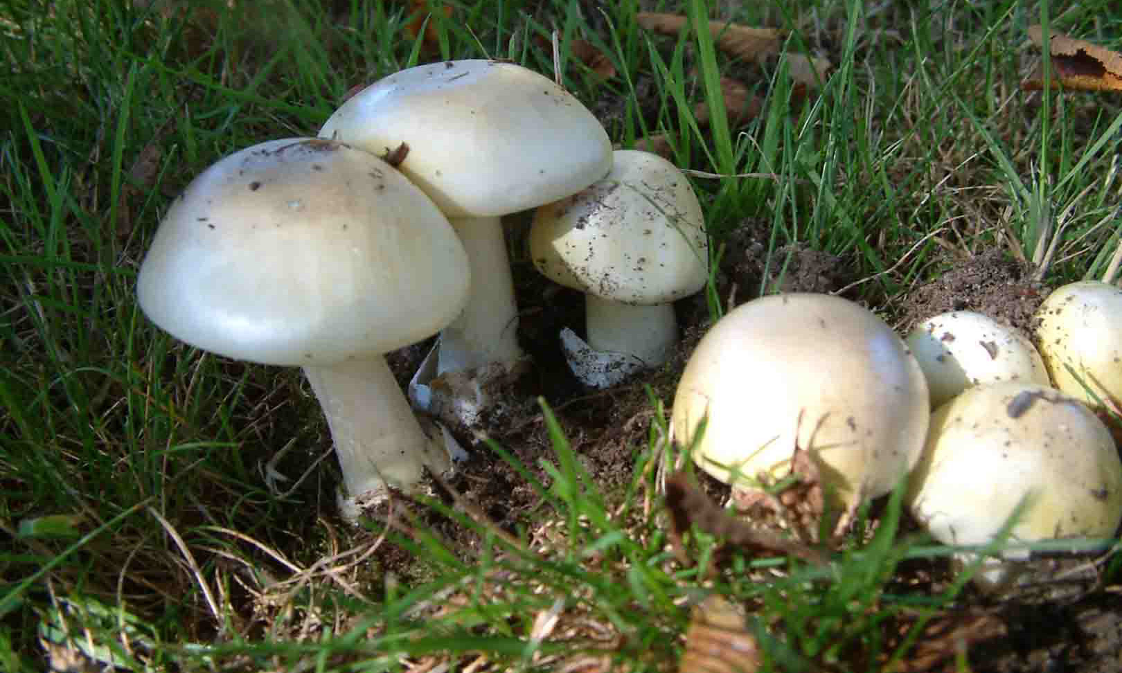 Суд разрешил Эрин Паттерсон подать апелляцию