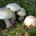 Суд разрешил Эрин Паттерсон подать апелляцию