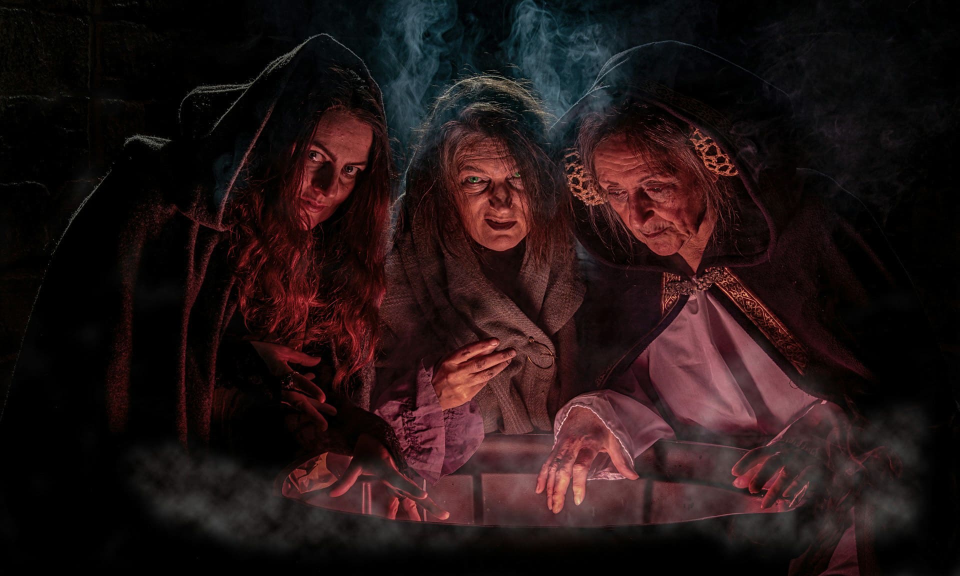 От ведьминого зелья до аптечного рецепта: как белладонна, мандрагора и полынь стали медицинскими чудесами