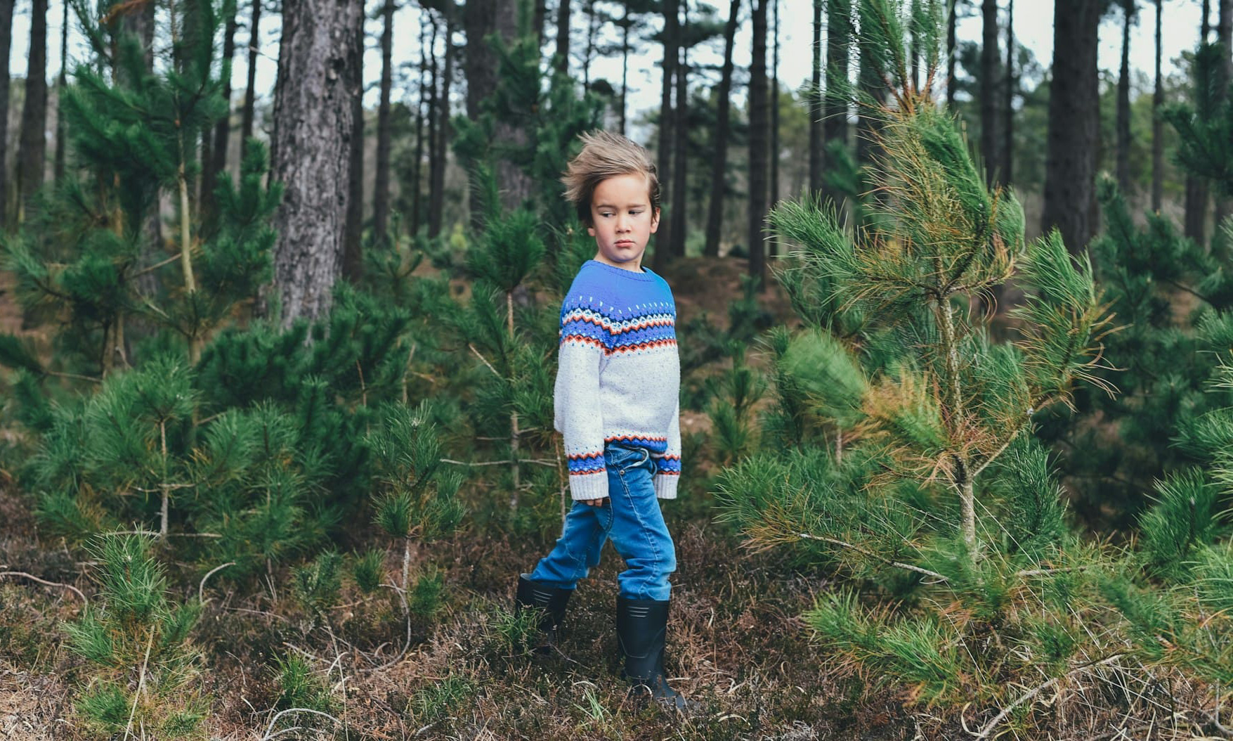 После отравления грибами у британской семьи забрали детей