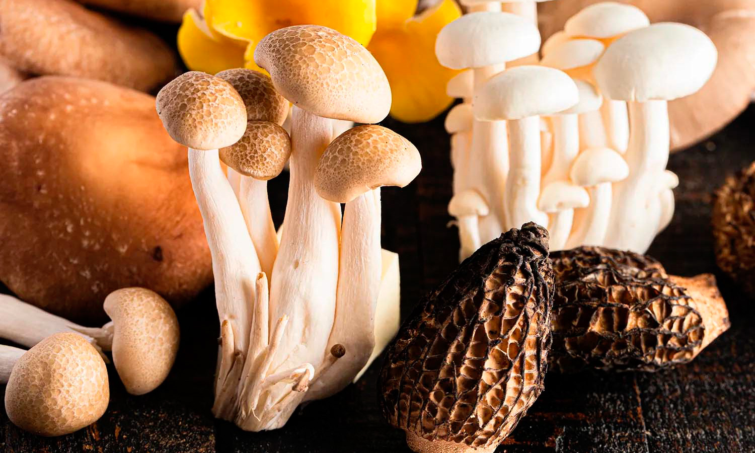 Сверился искусственным интеллектом и наелся ядовитых грибов