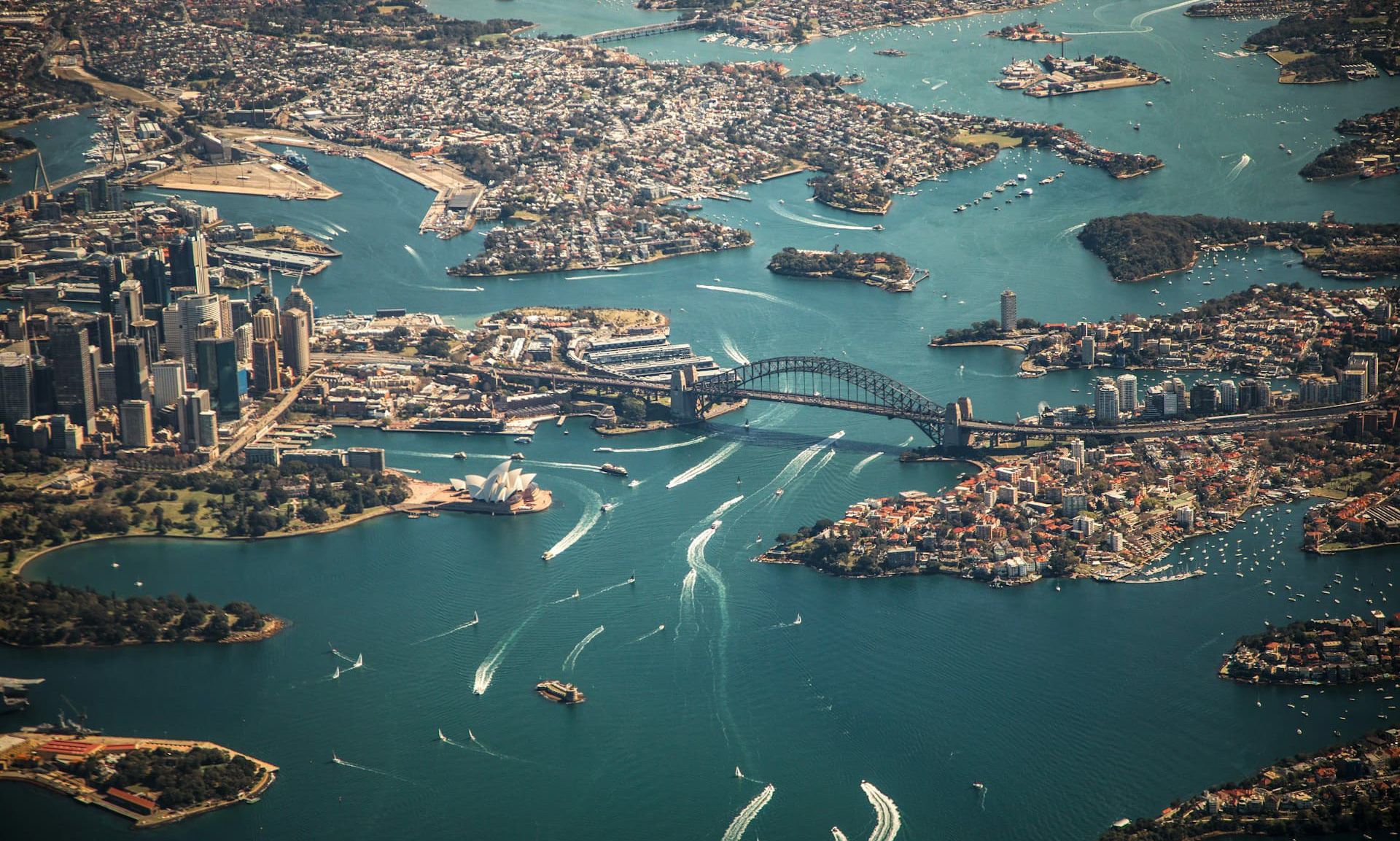 Токсическая катастрофа в Австралии: в 2025 году цветение водорослей унесло жизни более 87 000 животных 390 видов