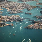 Токсическая катастрофа в Австралии: в 2025 году цветение водорослей унесло жизни более 87 000 животных более 390 видов