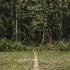 Пятилетний ребенок провел ночь в лесу рядом с умирающими от отравления родителями