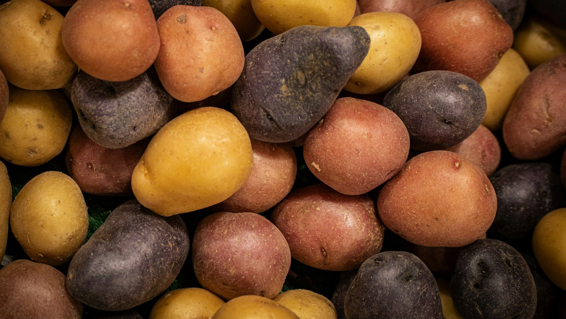 Картофель: история одного завоевания мира