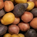 18. Картофель: история одного завоевания мира