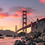 После дождей в Калифорнии от употребления в пищу бледной поганки скончались 4 человека