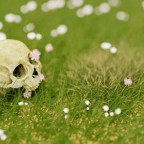 Как мистер Герберт Армстронг стал единственным адвокатом, казненным на виселице: S03EP75