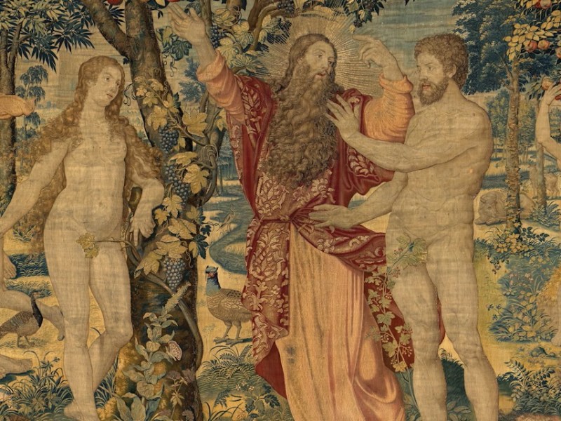 Эволюция сделала человеческий пенис заметным, но люди веками прячут его под фиговым листом