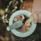 Последствия отравления свинцом через аюрведические препараты: разбор реального клинического случая