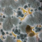 Женщине поставили диагноз рак: ее годами медленно отравлял кухонный прибор