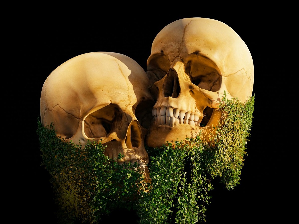 Гражданские супруги стали чаще использовать яды для причинения вреда или убийства партнеров