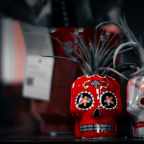 12 ядовитых растений, которые широко используются в фармакологии