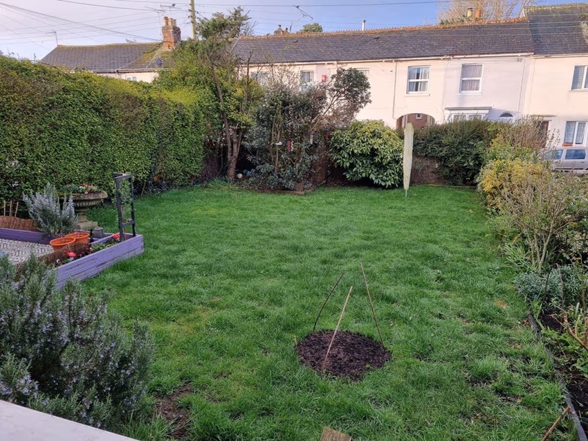 В Англии найдена новая улика по делу об отравлении в 19 веке