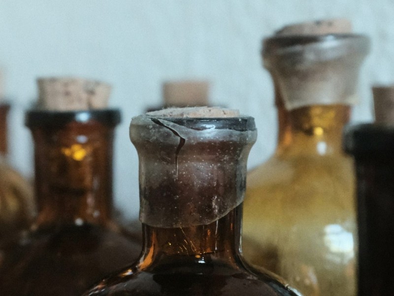 В Англии пес по кличке Стэнли нашел улику по делу об отравлении XIX века