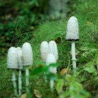 Топ-10 материалов марта: что читали в этом месяце больше всего?