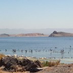 Токсичная пыль от высыхающего озера Солтон-Си в Калифорнии вредит развитию легких у детей